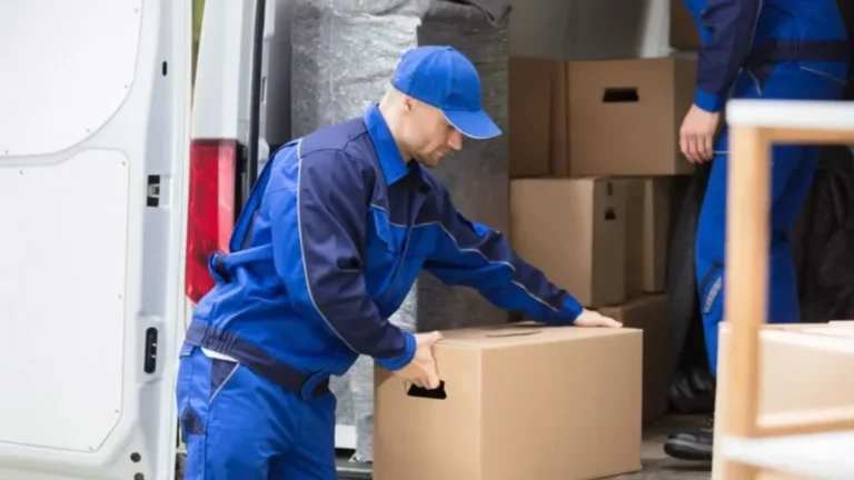 Loading Labour Loading & Unloading Services | Moving Labor Help